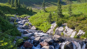 徕卡M11样本照片:6000万像素确实看起来不错